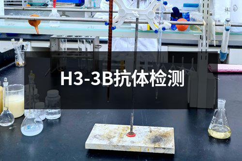 H3-3B抗体检测