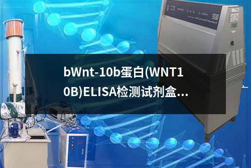 bWnt-10b蛋白(WNT10B)ELISA检测试剂盒检测