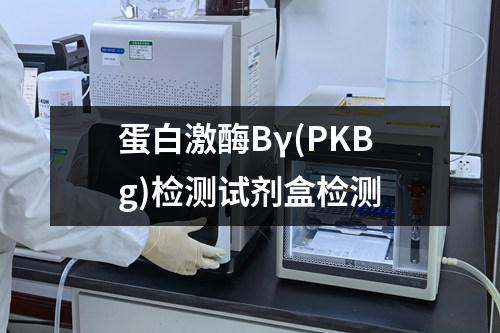 蛋白激酶Bγ(PKBg)检测试剂盒检测