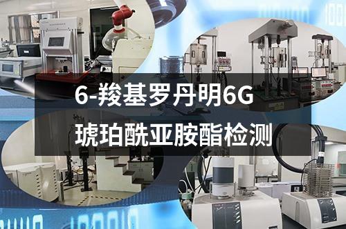 6-羧基罗丹明6G琥珀酰亚胺酯检测