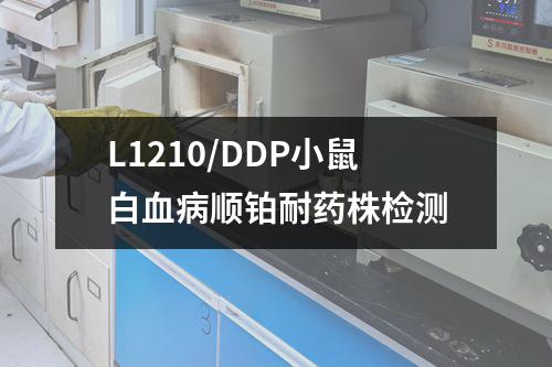 L1210/DDP小鼠白血病顺铂耐药株检测