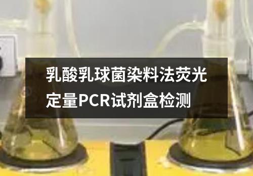 乳酸乳球菌染料法荧光定量PCR试剂盒检测