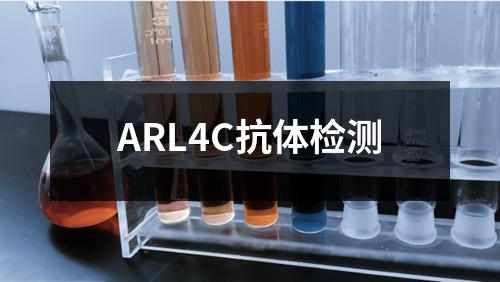 ARL4C抗体检测