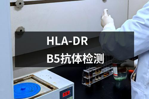 HLA-DRB5抗体检测