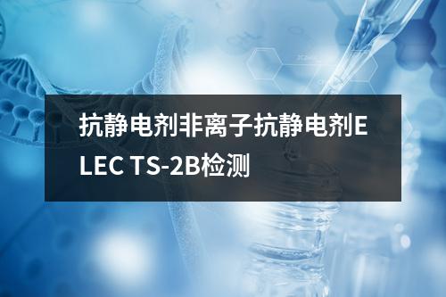 抗静电剂非离子抗静电剂ELEC TS-2B检测