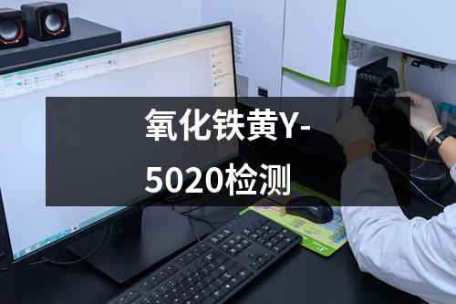 氧化铁黄Y-5020检测