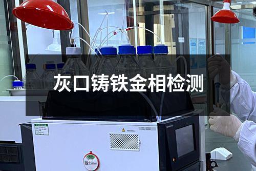 灰口铸铁金相检测