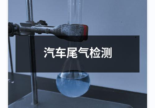 汽车尾气检测