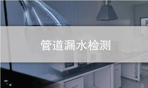 管道漏水检测