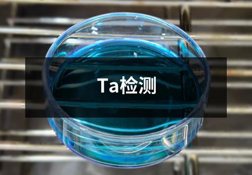 Ta检测