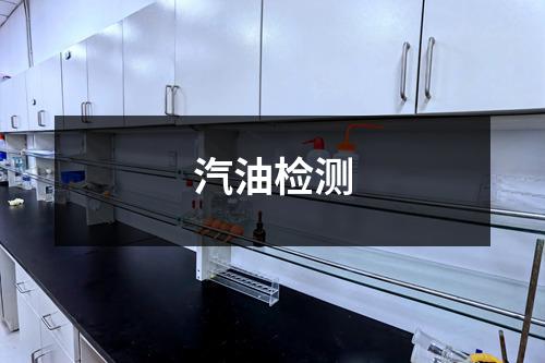 汽油检测