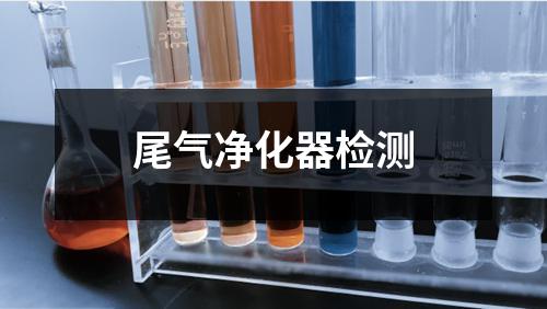尾气净化器检测