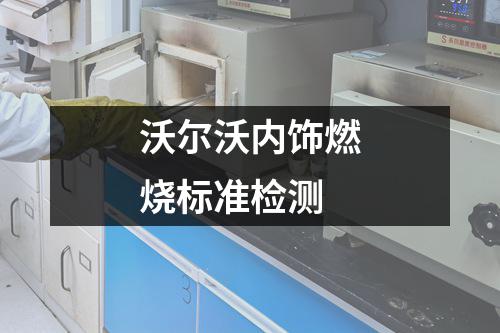 沃尔沃内饰燃烧标准检测
