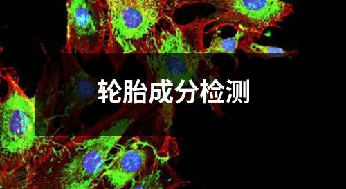 轮胎成分检测