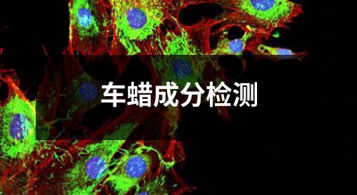 车蜡成分检测