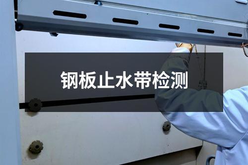 钢板止水带检测