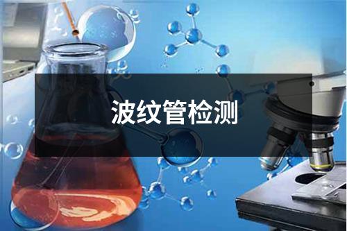 波纹管检测