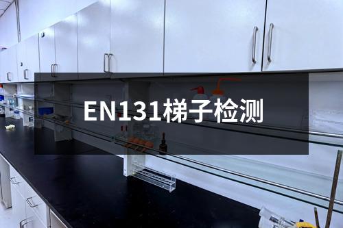 EN131梯子检测