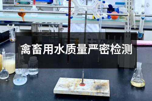 禽畜用水质量严密检测