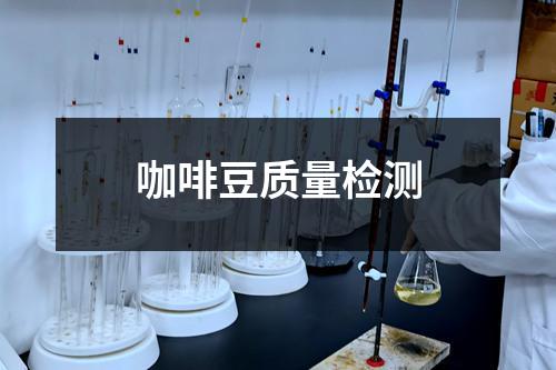 咖啡豆质量检测
