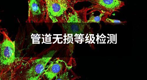 管道无损等级检测