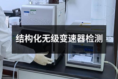 结构化无级变速器检测