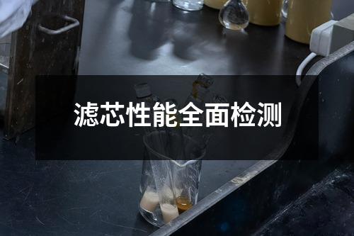 滤芯性能全面检测