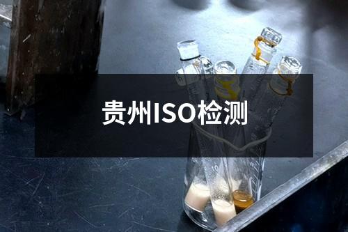 贵州ISO检测