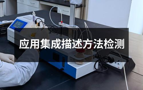 应用集成描述方法检测