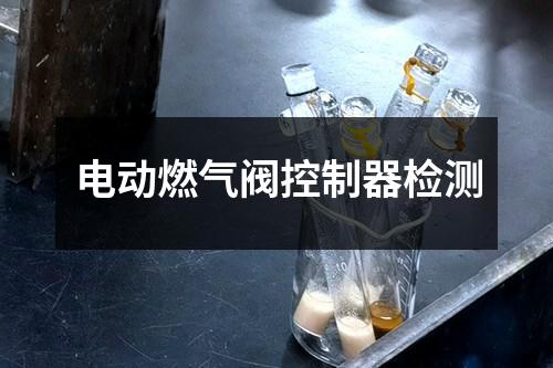 电动燃气阀控制器检测