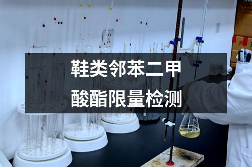 鞋类邻苯二甲酸酯限量检测