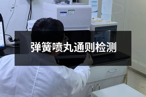 弹簧喷丸通则检测