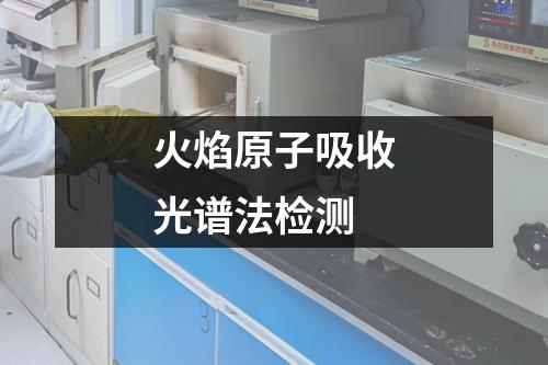 火焰原子吸收光谱法检测