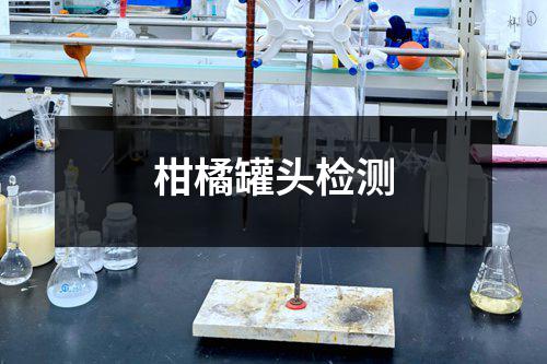 柑橘罐头检测