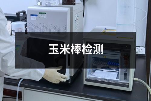 玉米棒检测