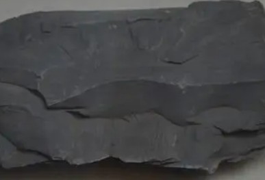 干酪根检测